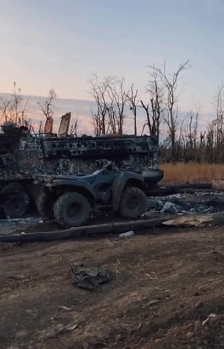 ������ �������: ������������ ������� ���������� ������������ �� ����������� �����������