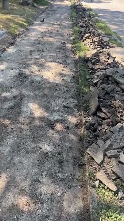 ��������� �������������� �������� � ���������, �������� �������������� �������� �������