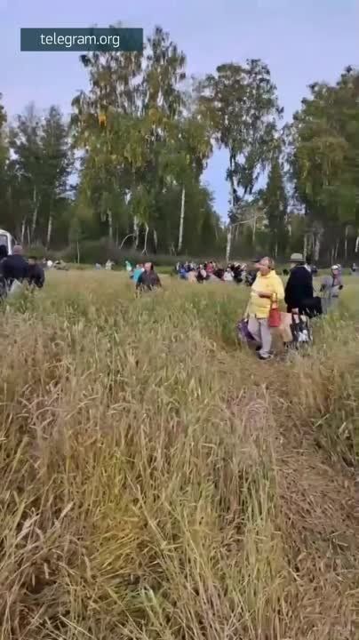 ������� ����-���� �������� ���������� ������� �� ����� ������������� ������� � ���. �������: