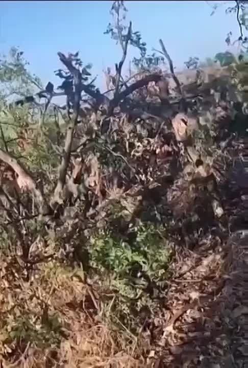 ������� ��� ����������� �� ����� ���� �� �����