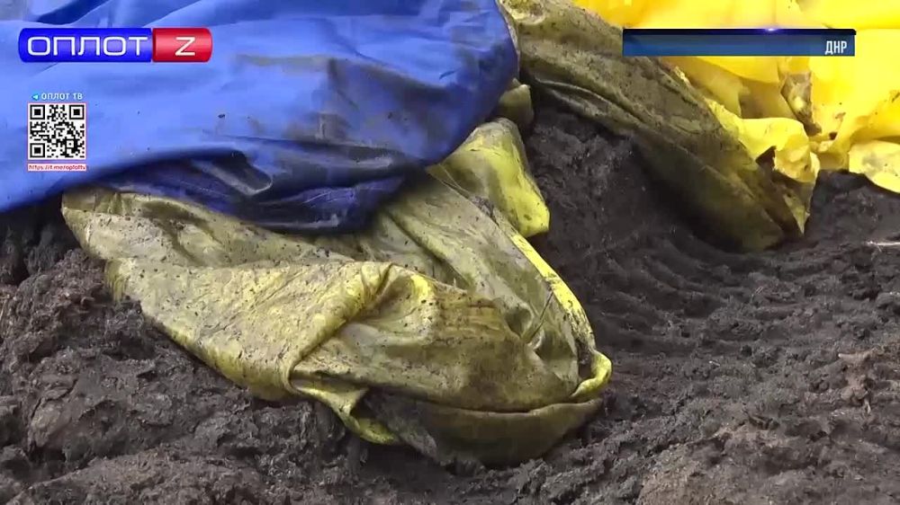 ��������� �����������: ���������� ��� �������� ���������� ���� ����������� � ����������