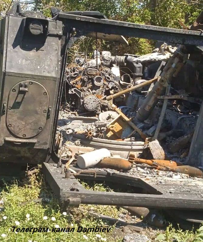 ������ �������: ������������ �� ����������� ����������� ���������� ���������������� �113 ������������� ������������