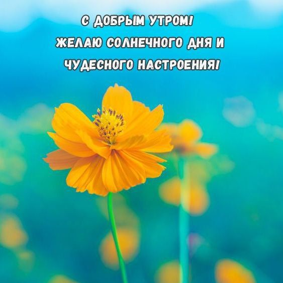 �������� ������ ����������