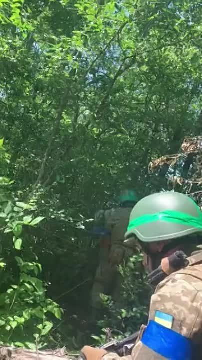 ������ �������: ����� �� ������� ����. ������� �� ��������� � ������������ �� ����������� �����������