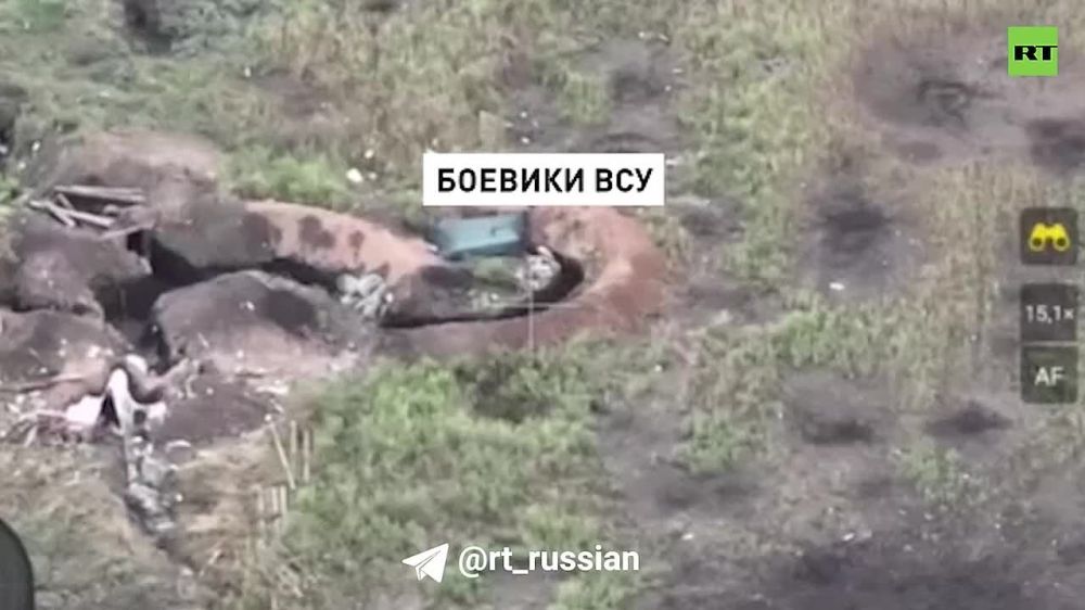 �����, �� �**, ��� ���, �������, ��������. �������