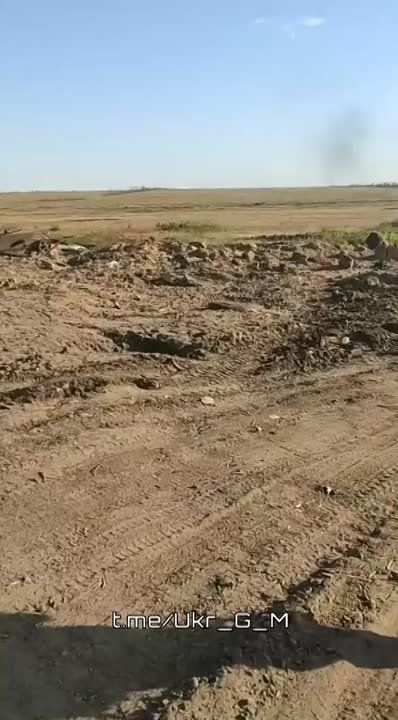 ������������ ������� ���������� ������������ �� ����������� �����������