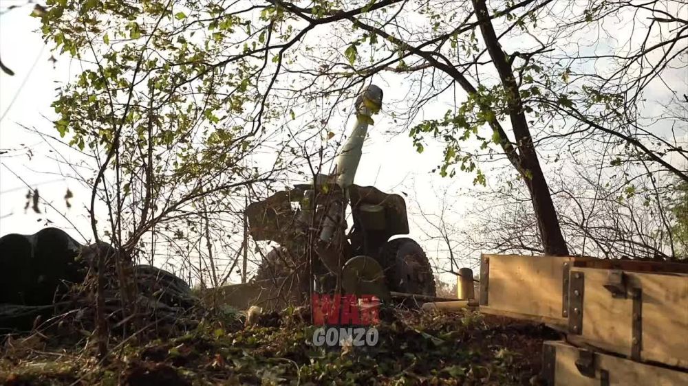 WarGonzo: ����������������� ���� � ����������� ������������