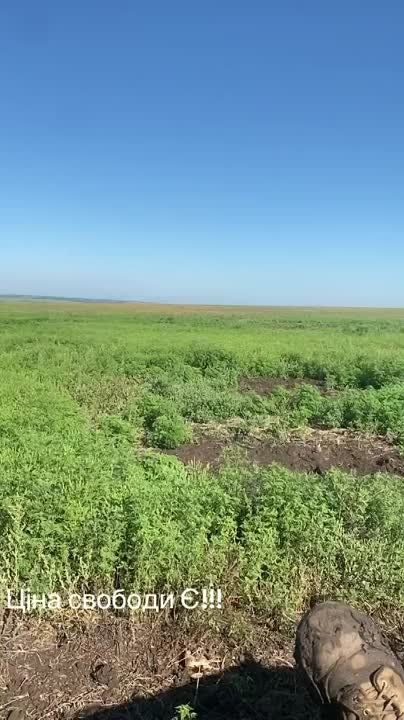 ������ �������: ��������� �������� ����� ���������� ������� �� ����������� �����������