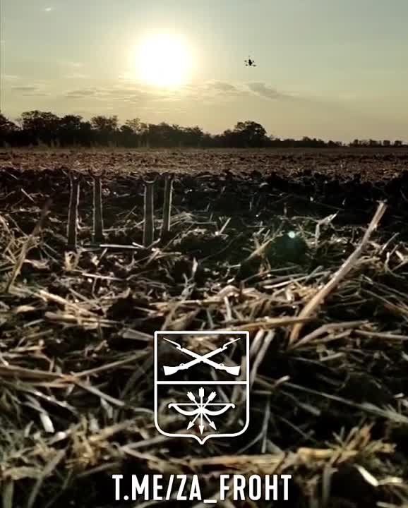 ����� �������� FPV-����� �� �������� ������� ��� �� ����������� �����������