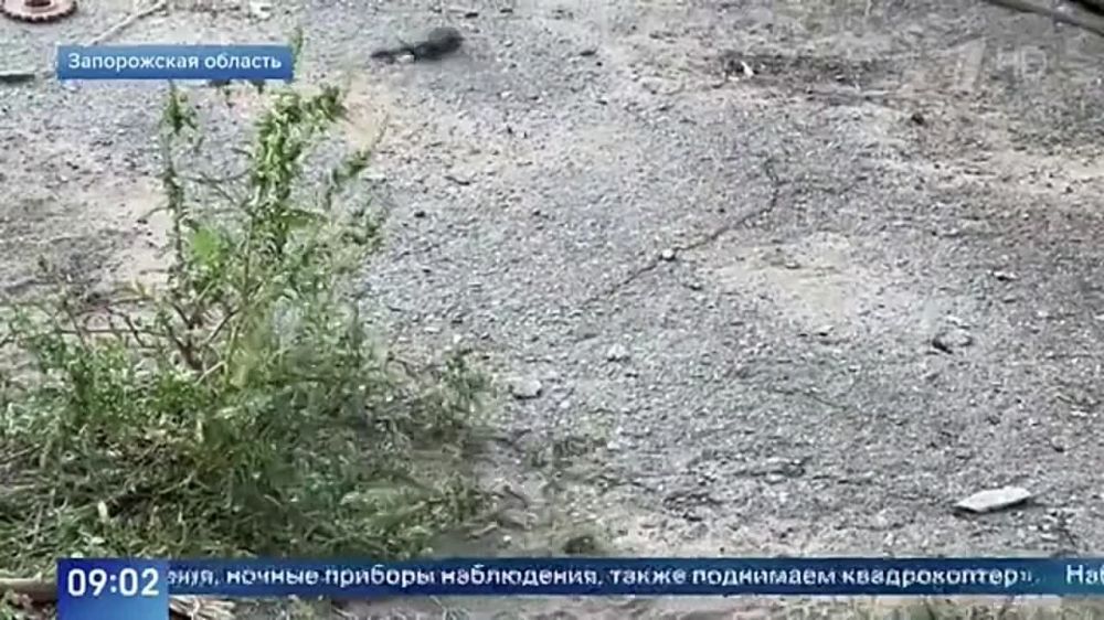 �� ����������� ����������� ����� �� ����� ������� ����� �������� �.�. ��������