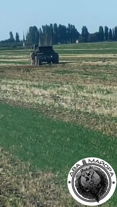 ����������� �����, ���� ����������