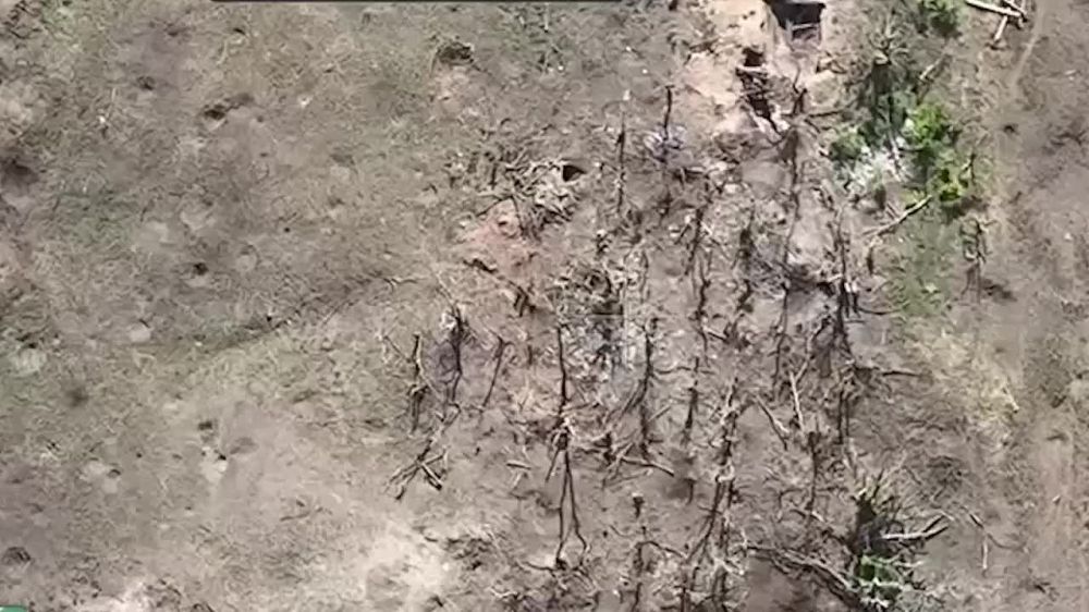 �������� FPV-����� �������� �����һ ������� ������� ��� � ������ ��������
