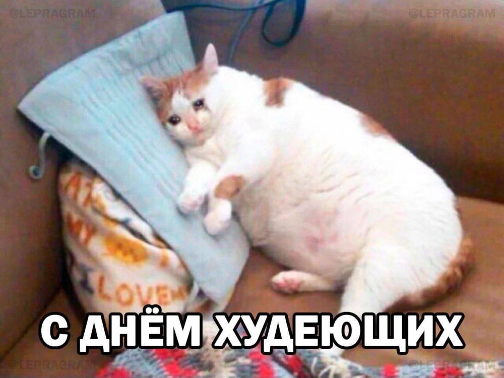 ������� ���������� ���� ��������