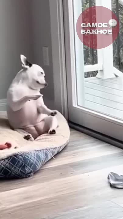 �� ��� � ��������� �������