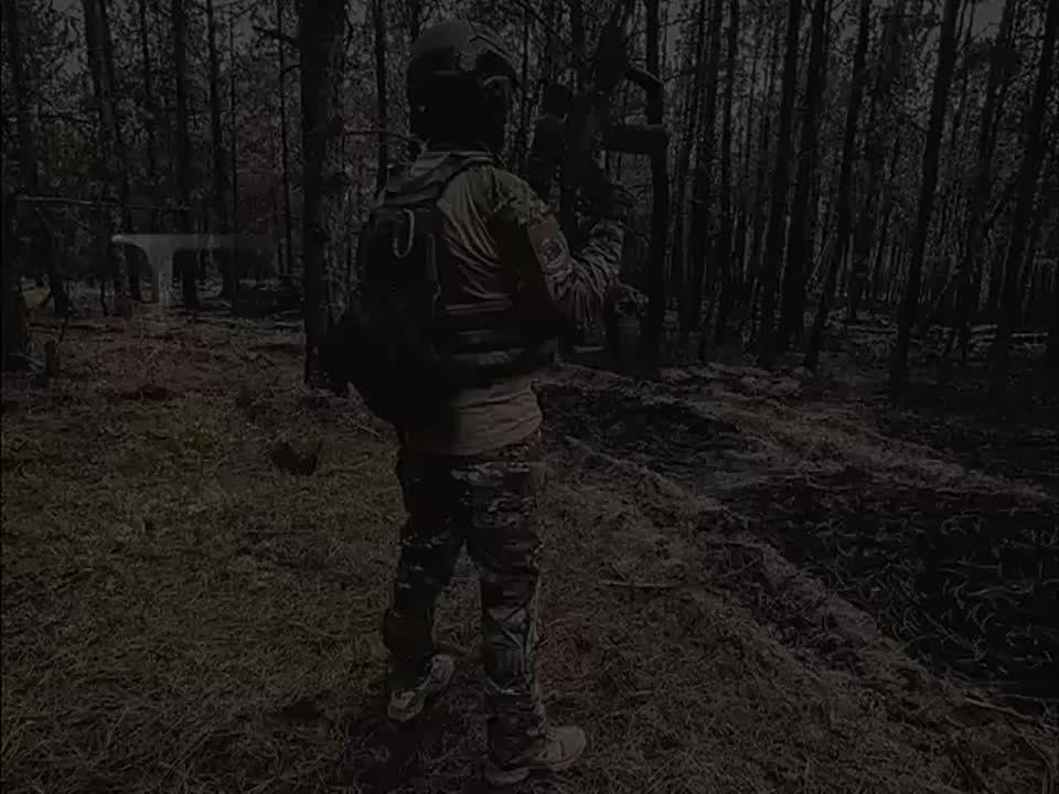 ����������� �����, �.� ��������, ����������� ���� ���������