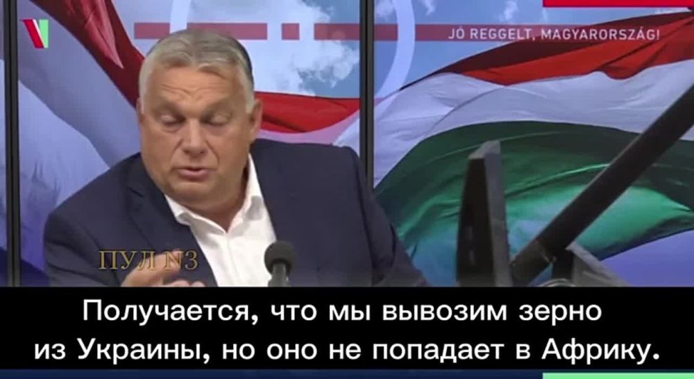 ������� ������� ����� �������� ������ � ������������� � ������� ����������� �����