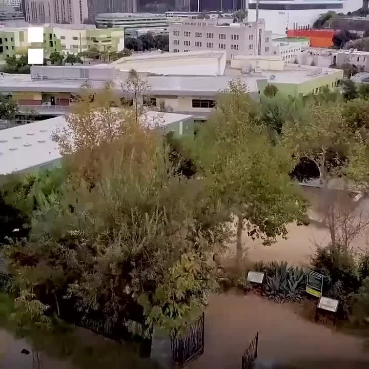 #����������_���������_�����