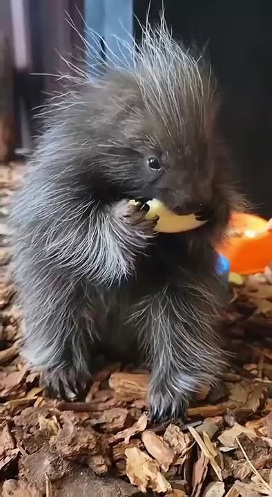 ����� ������� ��������. #��������������