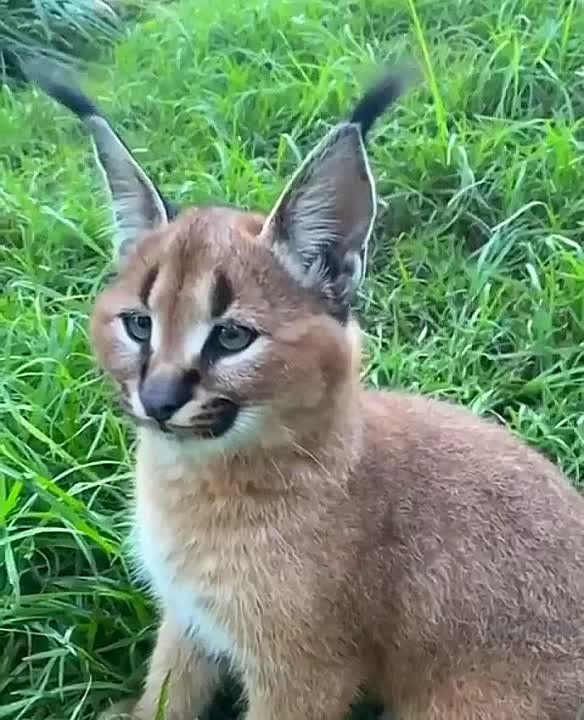 ������� ����������� ����� �� ����� ����