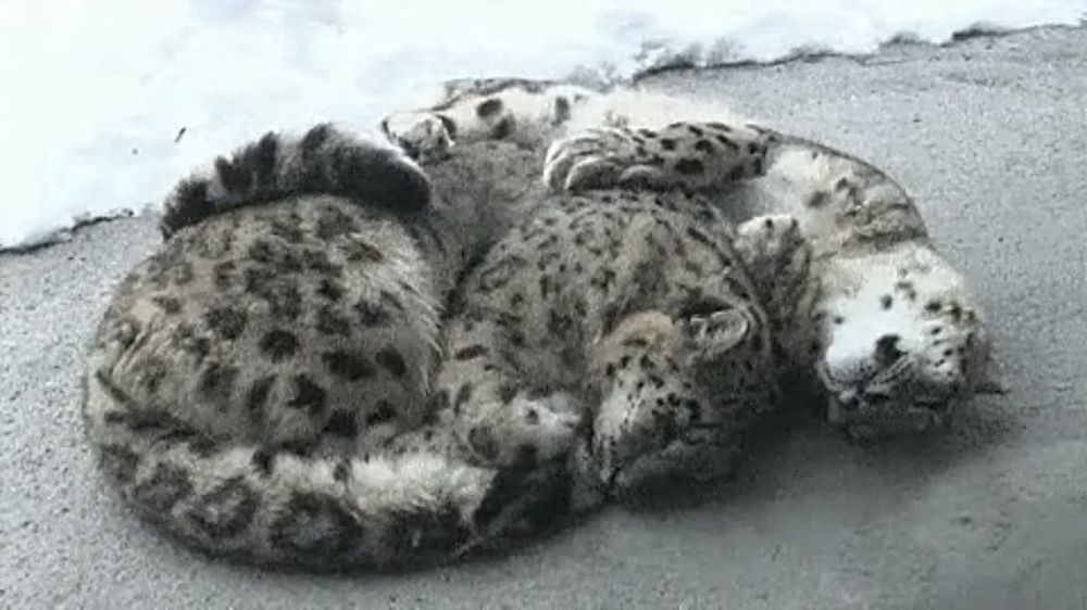 ������� ������ ��������������, ���������� � �����������, � �������� ������ �����!