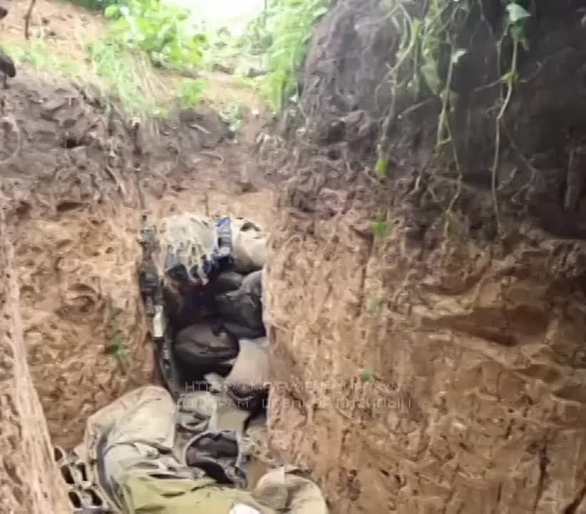 Евгений Лисицын: На Запорожском фронте враг не прекращает наступление у Работино и Вербового