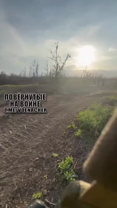 ������� ������ ����� �� �������� ����� �� ����������� �����������