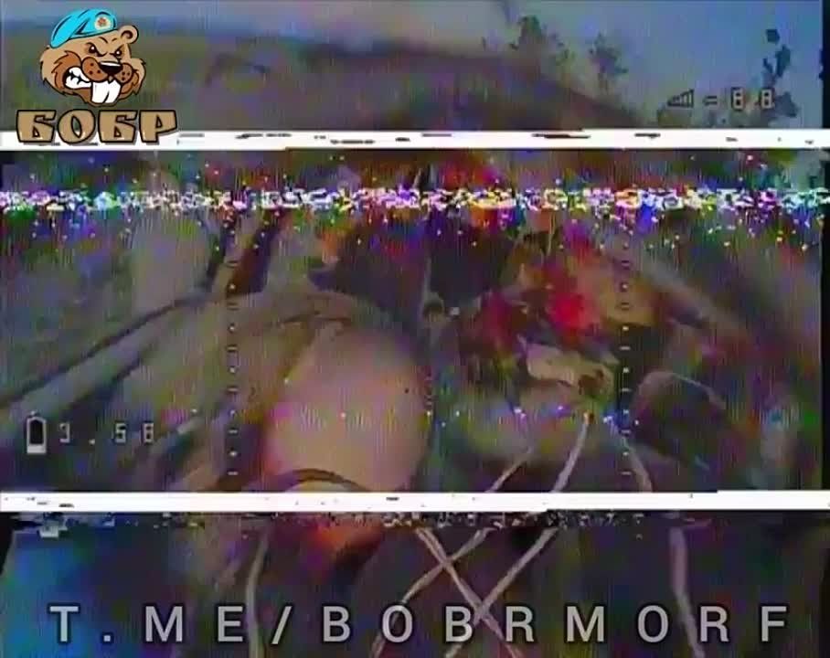 ����� �����: ��������� FPV-������ ������������� "����" ����������� ��������� ��������� � ������ �������� �� ����������� �����������