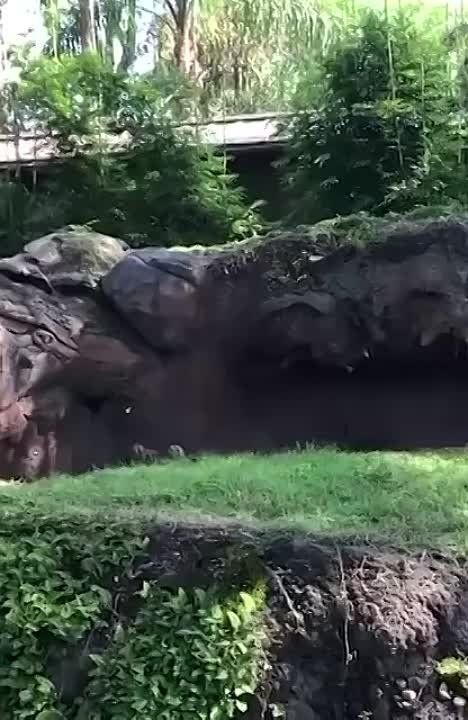 ����� �������� �� ���� ����