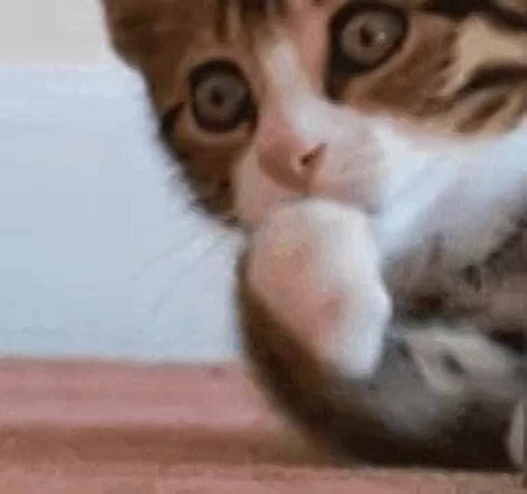 � ���������� ������ ����� ����� ������� ��� 2%. � ��� �������� ������ ������� ������� � ������� ������������� ����� � �������������� ������� ��� 2%. �� ���� ������ �������������� ������������� �� ����� ���������