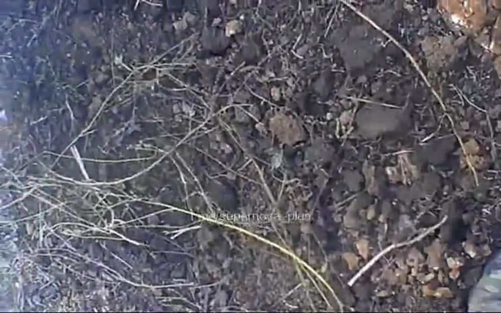 Евгений Лисицын: ВСУ-шники попытались штурмовать Вербовое, но что-то пошло не так