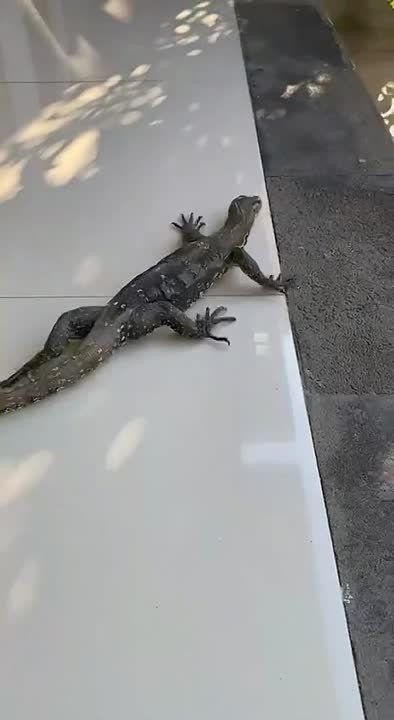 ������ ����, ��������!. ��������� � ����� ���� ������ � ����� ���������� �������! ������� ������ ��� ���� ����� � � ���������� �����������
