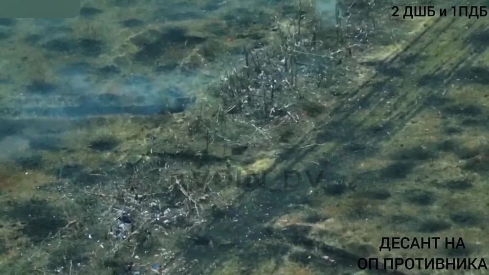 Евгений Лисицын: Российские бойцы из ВДВ контратакуют на Запорожском направлении