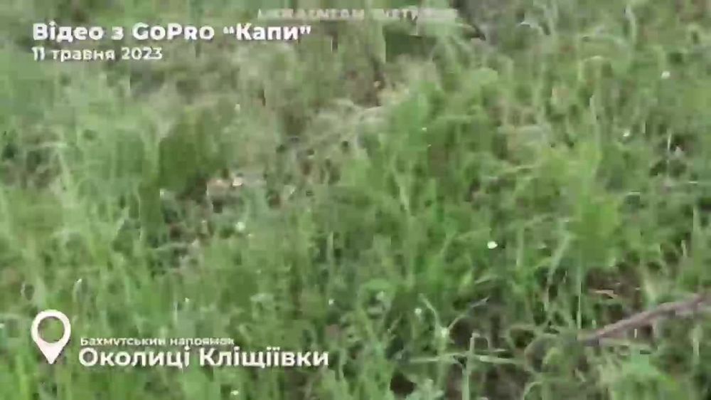 "���� ������".. ����� �������� ��������� ������ ��� �������������� ����� �� ��