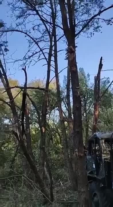 ��������� �������� ������������ ������������ ���������� ��������