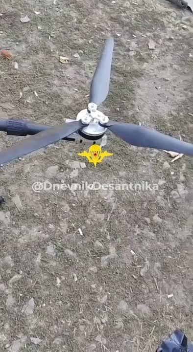 �� ����������� ����������� ���������� �������� �������� ��������� ������