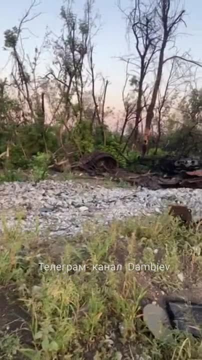 ������ �������: ������ ����������� ���������������� �� ����������� �����������