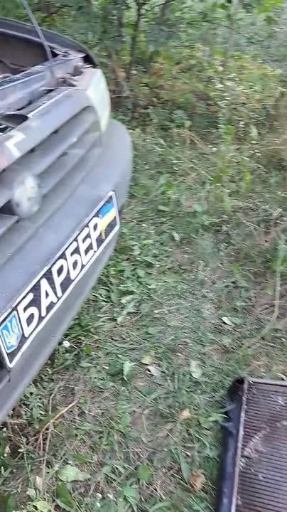 ������������ ������������� ���