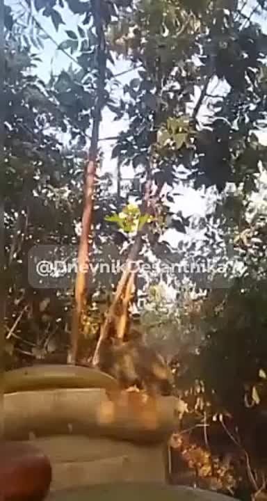 ��� ����������� �� ������� �.� �������� � ��������.