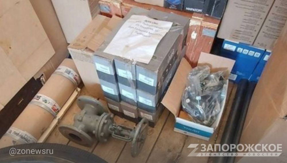 В Токмак и Пологи передали 300 кг кормов для домашних животных