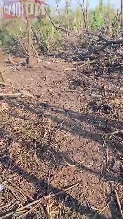 � ��� ������� ��� ���-�� ��� � ��������� ������������