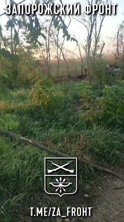 ������������ HMMWV ��� ����� � �.�. �������� �� ����������� �����������