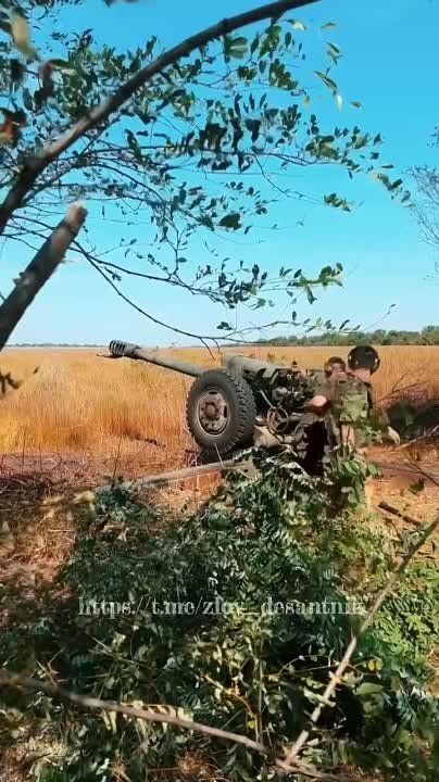 ����������� �����, ���������� �����������, 108� ��� 7-� ���, ���� ���������: