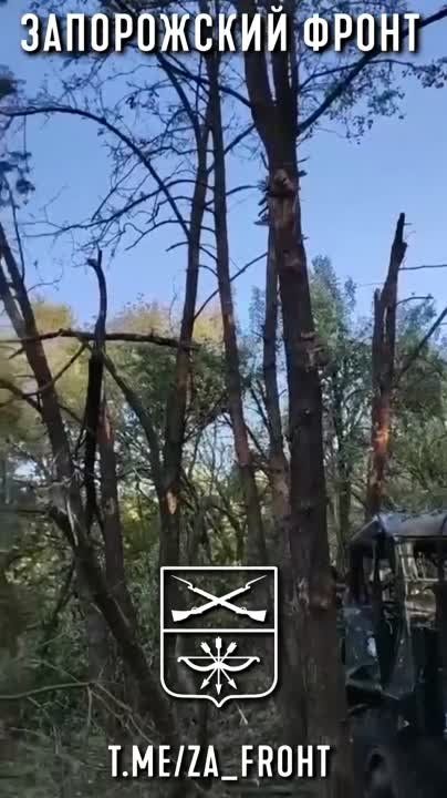������������ ������������ ��� �� ����������� �����������