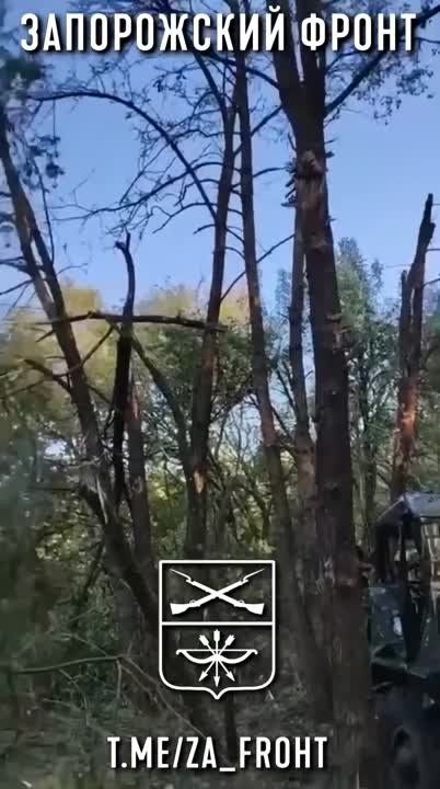 ����� ������������ ������������ ��� �� ����������� �����������