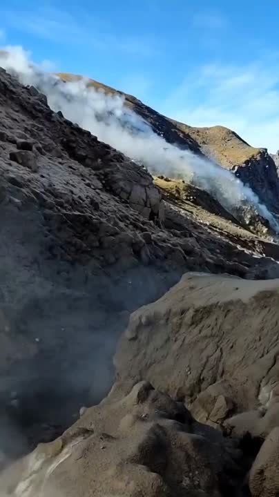 ������ ���� �� ������ �� ��������� ������������ � �����������
