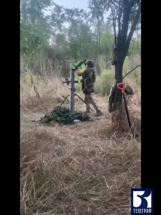 ���-�� ������ ��� �����������, � ���������� �� ����������� ������ - ��� ������ ���� ��������� �����������