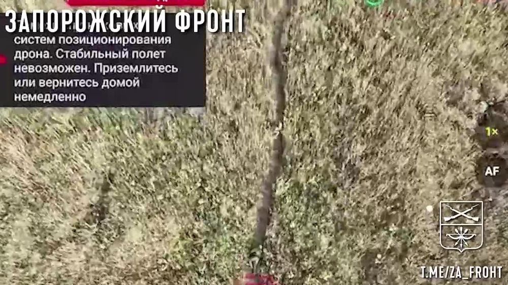 ������ "����" ���������� ���������� ������ ��� ����� ������ �������� � ������������� �� ����������� �����������