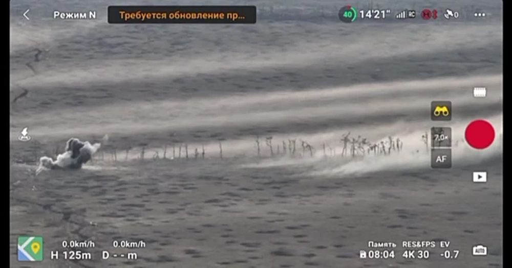 ����� �����: ����������� �����������. �����a ����������� �� 247 ��� �� ������ ���. �� ������ �������� ���