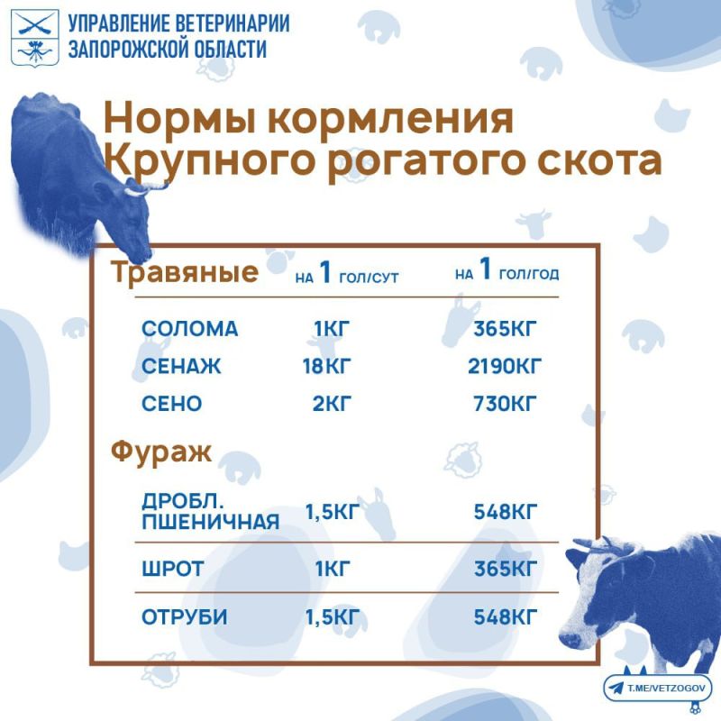 ����� ��������� � ������ ������ �����
