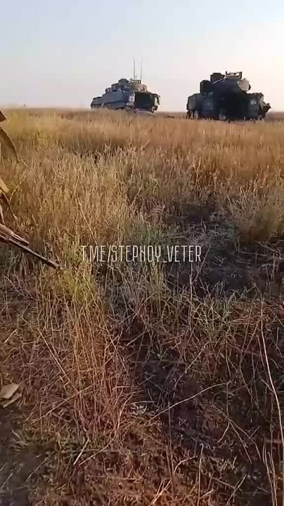 Евгений Лисицын: Появились кадры с очередным подбитым БМП Брэдли